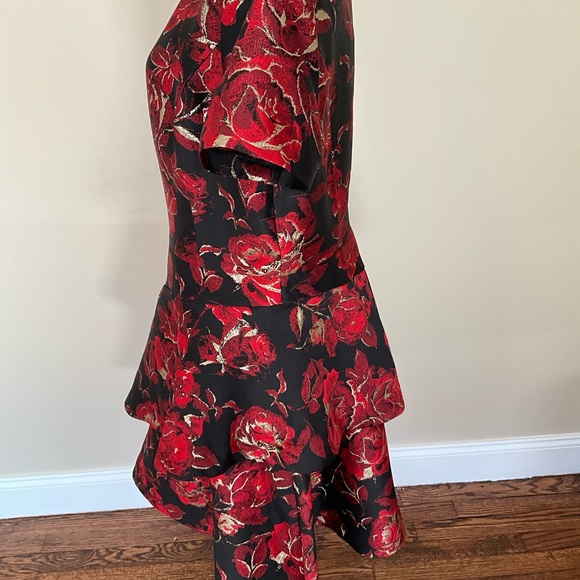 Shani Dress - Size 14 - Picture 3 of 4